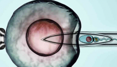 三代试管婴儿包成功靠谱吗？警惕无良中介套路