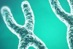 广西试管婴儿助孕大概花多少钱？2026年第三代试管费用明细出炉