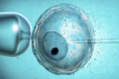 国内试管婴儿包成功医院是不是骗人的？