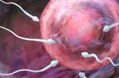 甘肃兰州市私立医院试管包成功宣传暗藏哪些陷阱？