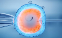 2026年未婚人士如何在儋州做试管？海南西部中心医院可不可以做？