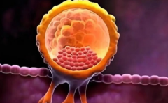 河北石家庄市私立医院试管包成功靠谱不？揭秘行业内不为人知的秘密