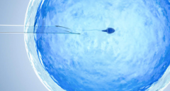 哈萨克斯坦三代试管助孕费用明细曝光，大概要多少钱？