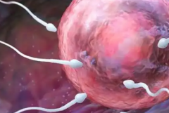 2026年美国第三代试管婴儿费用明细表