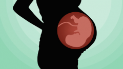 马来西亚三代试管助孕生子费用清单，具体包含这些收费项目