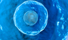 2026福建三代试管助孕费用清单：五大项目开销各有高低