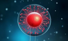 广西省三代试管价格一览表：单次助孕成本不低，通常超过10万元