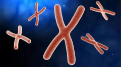 海南省海口三代试管助孕费用公布，附具体收费及医院推荐