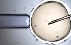 2026年在南昌做三代试管助孕大概得花多少钱？