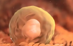 沈阳美德因妇儿医院未婚女性试管婴儿成功率解析