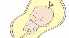 北京市三代试管婴儿全部费用是多少？费用明细全解析