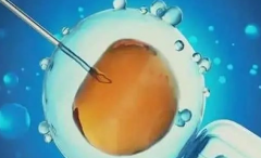 河北省石家庄市三代试管移植费用明细，2026试管助孕价格表+省钱攻略分