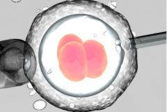 马来西亚第三代试管婴儿费用大约多少，全部流程下来预算准备多少合