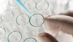 没领结婚证怎么做试管婴儿？2026年商丘市一院能为单身做吗？