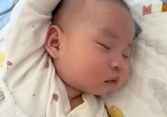 2026年单身女性在安徽医科大学第二附属医院能做试管婴儿吗？