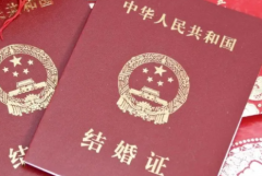 广东省人民医院试管攻略：无结婚证可行吗？费用与成功率一览