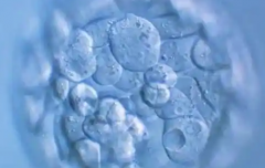 重庆市三代试管口碑好的医院做助孕生孩子费用多少