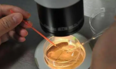 2026年武汉试管婴儿私立医院权威排名