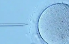 上海市三代试管婴儿费用多少？价格构成全面介绍，医院挑选技巧