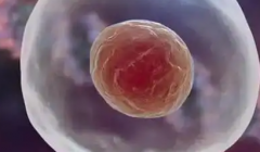 南宁市三代试管助孕价格大概多少钱？附单周期费用详细清单