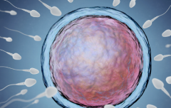 河南第三代试管婴儿大概需要多少费用？2026年收费价格与成功率揭秘