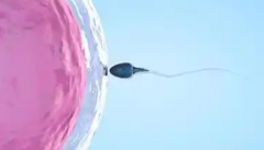 许昌市做第三代试管助孕成功价格分享，最低也要15万元