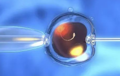 哈萨克斯坦做第三代试管婴儿要花多少钱？来看看详细费用清单表