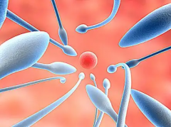 2026年湖南岳阳试管婴儿助孕费用全解析，附最新价格报价