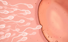 杭州市第三代试管助孕费用标准，通常一般在10~15万元左右