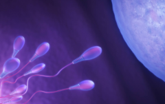 2026年淮安私立机构助孕费用明细：新手避坑+省钱实用攻略