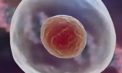 2026年北京试管婴儿助孕费用清单，附真实试管价格表