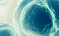 2026年天津第一中心医院单身试管婴儿花费明细表参考