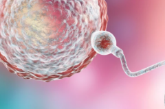 沈阳市三代试管助孕生孩子总费用多少？大约在12万至18万左右