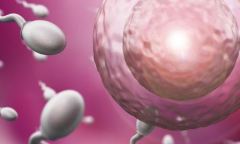 美国做三代试管婴儿费用多少？真实费用清单大公开