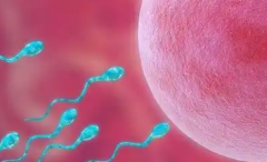 2026西安市三代试管助孕生孩子开支：完整流程费用预估表