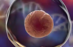 黑龙江三代试管助孕费用全解析，附详细价格清单供你参考