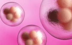 2026年全国三代试管婴儿费用明细一览表，清楚知道预算构成