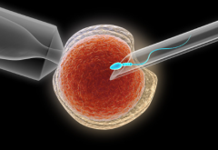 福建省第三代试管婴儿费用明细：一步步清楚你需要准备多少花费