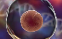 2026年重庆第三代试管婴儿费用高吗？成功费用由三部分组成