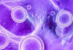 2026在海口三代试管婴儿助孕一般要花多少钱，费用明细全览