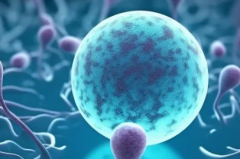 昆明市三代试管助孕费用明细2026，教你如何省心又省费用