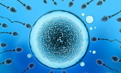 广东省第三代试管助孕费用明细表，真实价格清单一览供参考