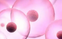 衡阳南华星辉医院未婚做试管婴儿多少钱，一次预算12万才够