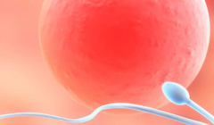 2026年没有结婚证去沧州市第二人民医院做三代试管费用贵吗？明细是怎