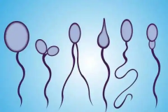 2026年山东省妇幼单身试管费用明细，预算8万元够不够？