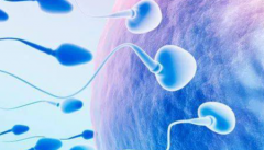 2026年在贵阳市做三代试管助孕大约需要多少费用？费用明细清单出炉