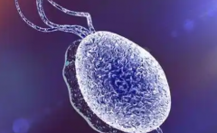 广西妇幼为单身做试管婴儿的成功几率大吗？