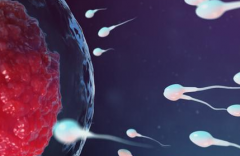 福建福州市2026年三代试管婴儿手术费用最新收费标准一览