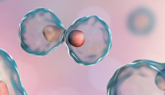 2026年哈萨克斯坦三代试管助孕费用全揭秘，各阶段花销明细