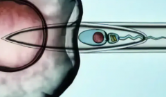2026年广西省做第三代试管婴儿大概花多少钱？全过程费用清单揭晓